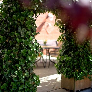Hotel Apfelblüte - Das Restaurant